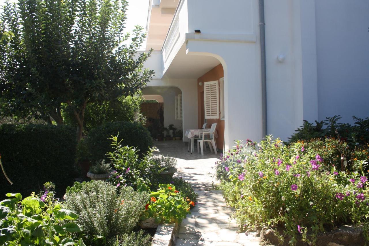 Apartments Sandra Palit Εξωτερικό φωτογραφία